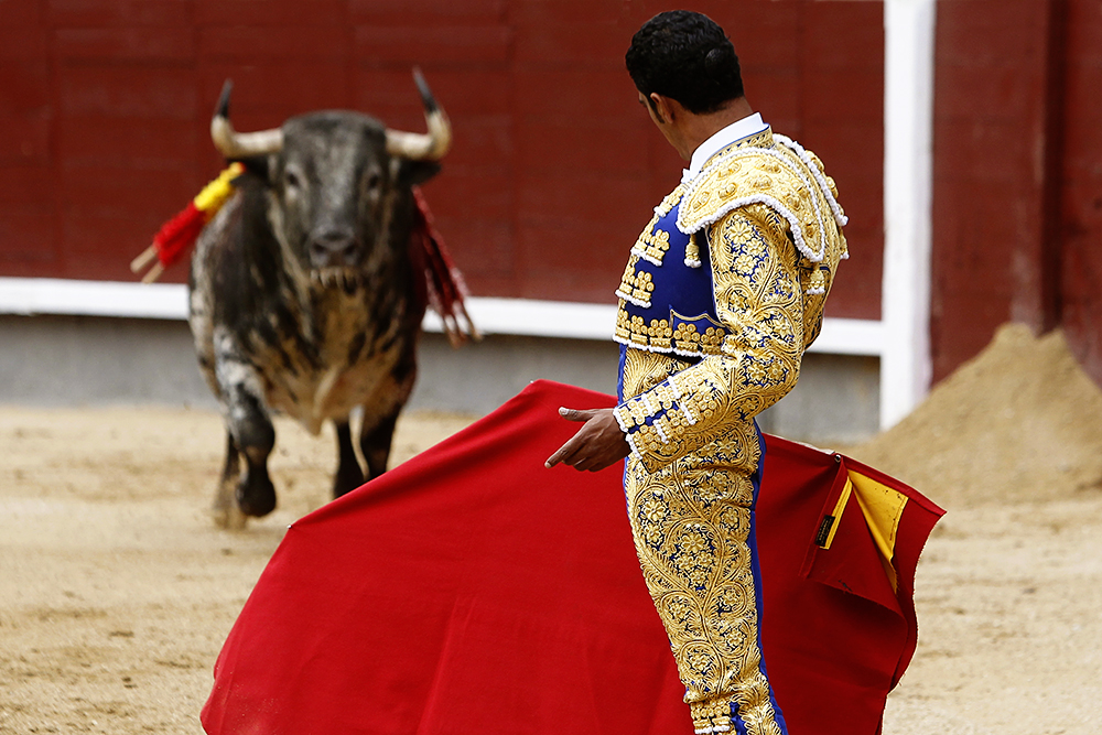 matador with a bull 