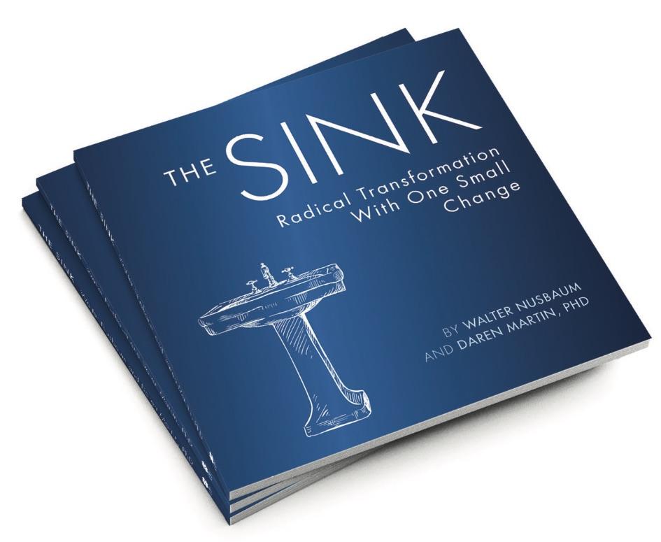 image of book: the sink