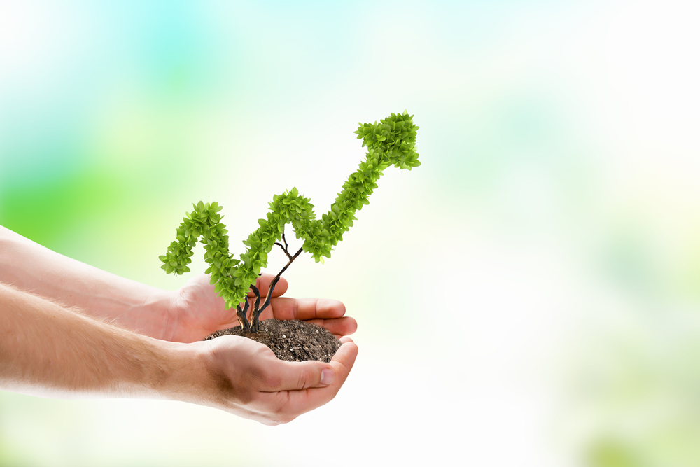 hands holding a small plant in the shape of a growth chart pointing up